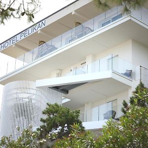 Hotel Pelikan